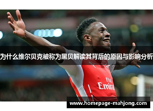 为什么维尔贝克被称为黑贝解读其背后的原因与影响分析