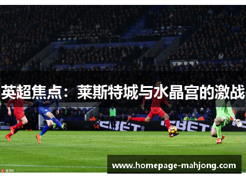 英超焦点:莱斯特城与水晶宫的激战 英超焦点:莱斯特城与水晶宫的激战