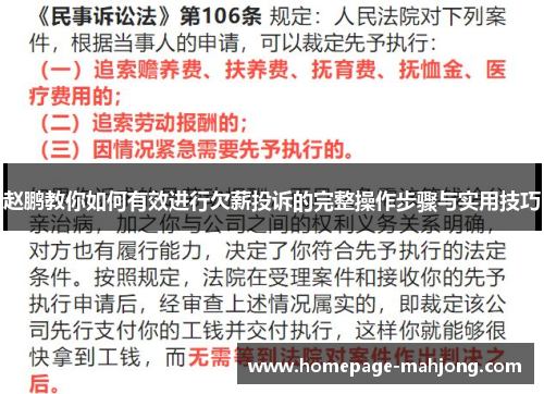 赵鹏教你如何有效进行欠薪投诉的完整操作步骤与实用技巧