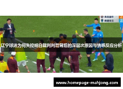 辽宁球迷为何失控明白裁判判罚背后的深层次原因与情感反应分析